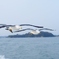 松島にて