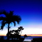 Sunset silhouette 