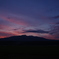 七夕ですが・・・