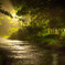 after the rain