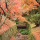 秋の小川