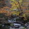 照葉峡の紅葉