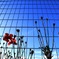 花が見上げる空 No.2