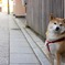 はいっ、チーズ。