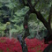 孤高