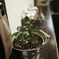 coffee shop2