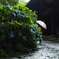雨にぬれても
