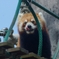 ぺろり。