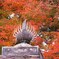 2009京都の紅葉《昆沙門堂06》