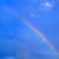 青空に虹