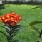 DSC01571