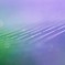 Spider silk