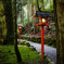 貴船神社 奥宮への参詣道