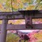 2009京都の紅葉《昆沙門堂07》