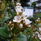 DSC00188