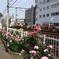 DSC00454
