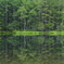 Mirror Image　Ⅱ