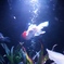 金魚