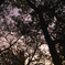 SDIM0127