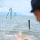海床路