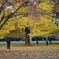 公園にて