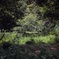 佐鳴湖公園2