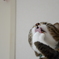 手ペロ