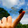 Fly high in the sky!!