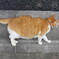 実は・・・