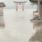 厳島神社