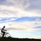 ボクと自転車と空と