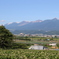 十勝岳