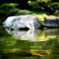 大濠公園日本庭園