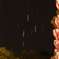 ぼんぼりの空