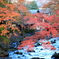 IMG_1279修善寺の紅葉３