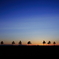 crepuscule july