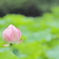 ふわっ