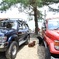 love car & dog