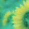 Five