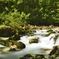 Sava Bohinka at Slovenia