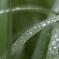 前夜の大雨