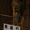 洞内
