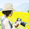 summer color