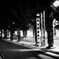 20091121-R0010170-Edit