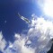 空を舞う魚