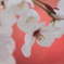 桜1