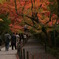 光明寺・もみじ参道