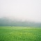 chasing fog