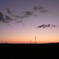 夕暮れの高架線
