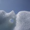 夏雪